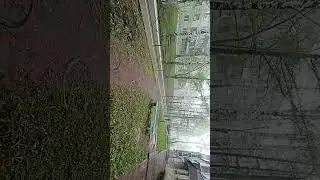 Наша погода!