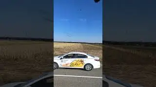 катки ккз-6 по палке подсолнуха.