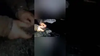 Зимняя рыбалка 2019 )!! Первый лёд, проверка сети))!