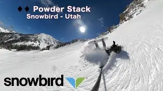 Snowbird | Expert Terrain Powder Stack | Utah 