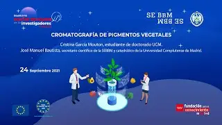Taller de Cromatografía SEBBM en La Noche de los Investigadores 2021