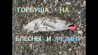 Ловля горбуши на Сахалине! Наконец то проклюнулась!