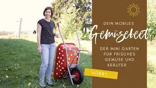 Dein Mobiles Gemüse Hochbeet - DIY