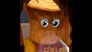 run.