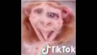 Muffin Tik Tok Has Become Aware of Content