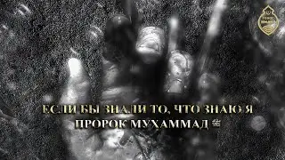 Если бы знали то, что знаю я   Пророк Мухаммад ﷺ