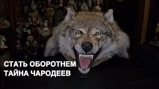 СТАТЬ ОБОРОТНЕМ…ТАЙНА ЧАРОДЕЕВ…ДЛЯ ВСЕХ…ведьмина изба
