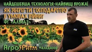 СОНЯШНИК ПО НУЛЮ ЗЕРНОВОЮ СІВАЛКОЮ,ГІБРИД АЛЬДАЗОР.ПШЕНИЦЯ ПРЯМИМ ПОСІВОМ,МІЖРЯДДЯ 34СМ,НОРМА 100КГ