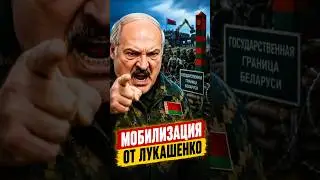 ⁉️ Urgent order from Lukashenko / Strengthening the southern border 