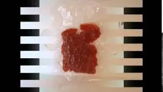 икра макроруса вяленая