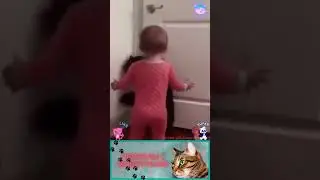 Приколы с животными и детьми  , веселые собаки и кошки  , смех до слез 