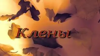 стихи о жизни КЛЕНЫ #стихи#стихивслух#поэзия