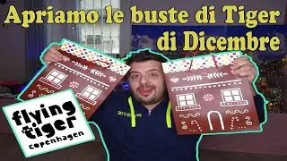 APRIAMO LE BUSTE A SORPRESA DI TIGER DI DICEMBRE '23 || #8° Episodio- Stagione 2