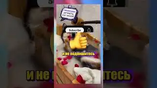 ЧТО ТАМ ВНУТРИ @Animaalz 