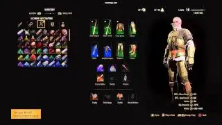 The Witcher 3: Wild Hunt - Full Griffin School Gear