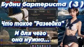 Black Desert. Будни Бартериста (3). Разведка