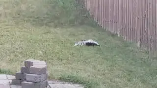 20180708 201934