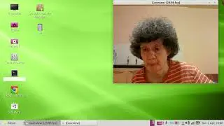 How To Get The Linux Mint Themes On Debian.