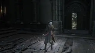 Reiterpallasch vs Lady Maria(no HUD)