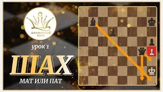 Шахматы. Урок 1. Шах Мат или Пат? Основы шахматной игры.