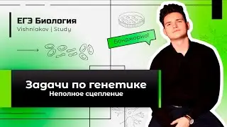 ЕГЭ Биология | ЗАДАЧА ПО ГЕНЕТИКЕ. Кроссинговер