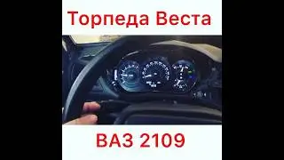 Кто спрашивал про торпеду Весты 😅 за вас счет любой каприз