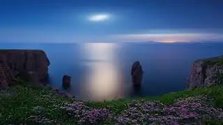 Chopin     Nocturne No   20
