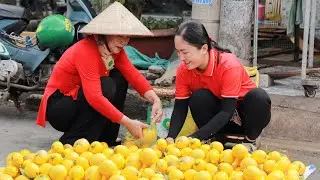 Harvest Star apple and bring them to the market sell - cooking and selling