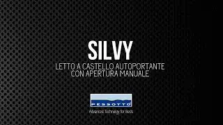Silvy IT