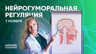 Нейро-гуморальная регуляция