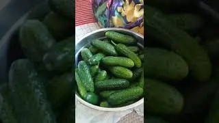 Закрываем с бабушкой огурцы. Прошлый год.
