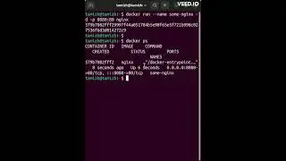 Nginx in docker container 