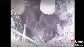 Абдуллох домла