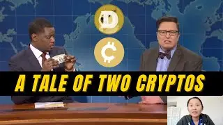Why did one cryptocurrency go up 5X, and another crypto go down 5X?
