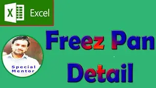 Freez Row and Column in excel - Special Mentor