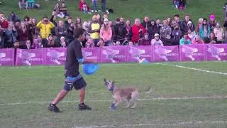 USDDN World Finals 2022 - Super Open Champion - Shaun & Goldrush