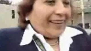 L a Caida de Elvia version 1