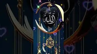 Beautiful Islamic Status Trust Allah for everything #shortfeed #youtubeshort #viralvideo