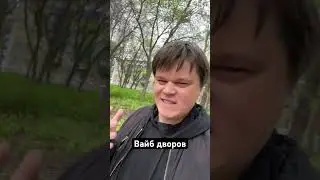 Вайб дворов