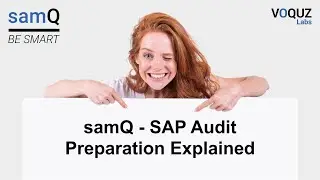 samQ - SAP Audit Preparation Explained