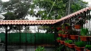 20 segundos de lluvia