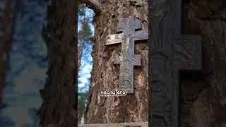 ЧУДО ИСЦЕЛЕНИЯ В ДИВЕЕВО🌿 