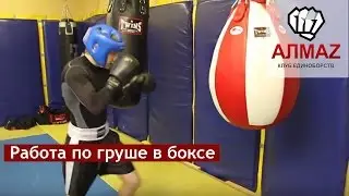 Punching bag work. Boxing St. Petersburg. [Almaz Club]