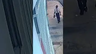 Taunted Dog Takes Book 😂