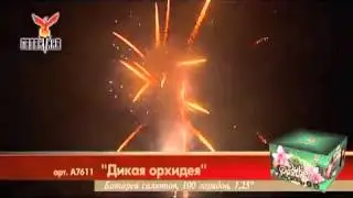 Салют Дикая орхидея (А7611) 100 зарядов,58 сек.