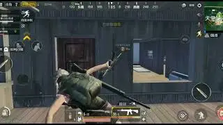 Pubg lightspeed (chinese version)