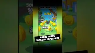 Andre Birds are back 