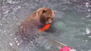 С кругом и шаром в бассейне играет 2
