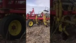 Посев озимой по подсолнечнику no-till