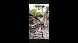 Mandi biar sehat & segar😍 #shorts #short #viral #2023 #tiktok #tiktokvideo #capcut #shortvideo